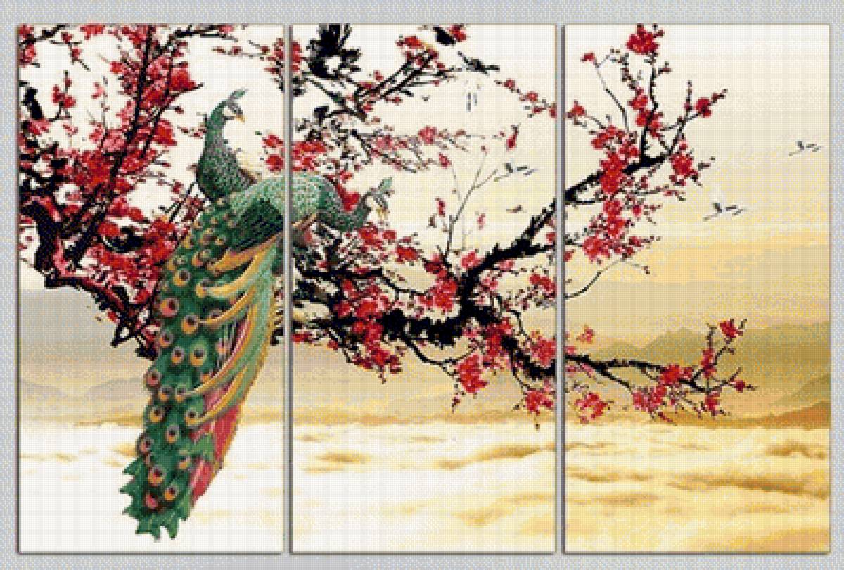 Peacock Triptych - peacock, triptych - предпросмотр