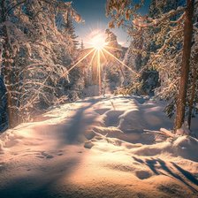 Схема вышивки «Мороз и солнце»