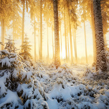 Схема вышивки «Солнечный денек»