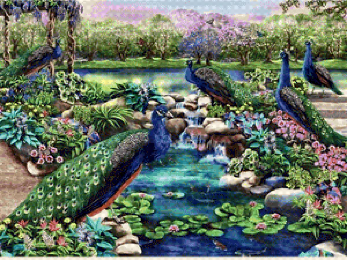 Fabulous Peacocks - peacock - предпросмотр