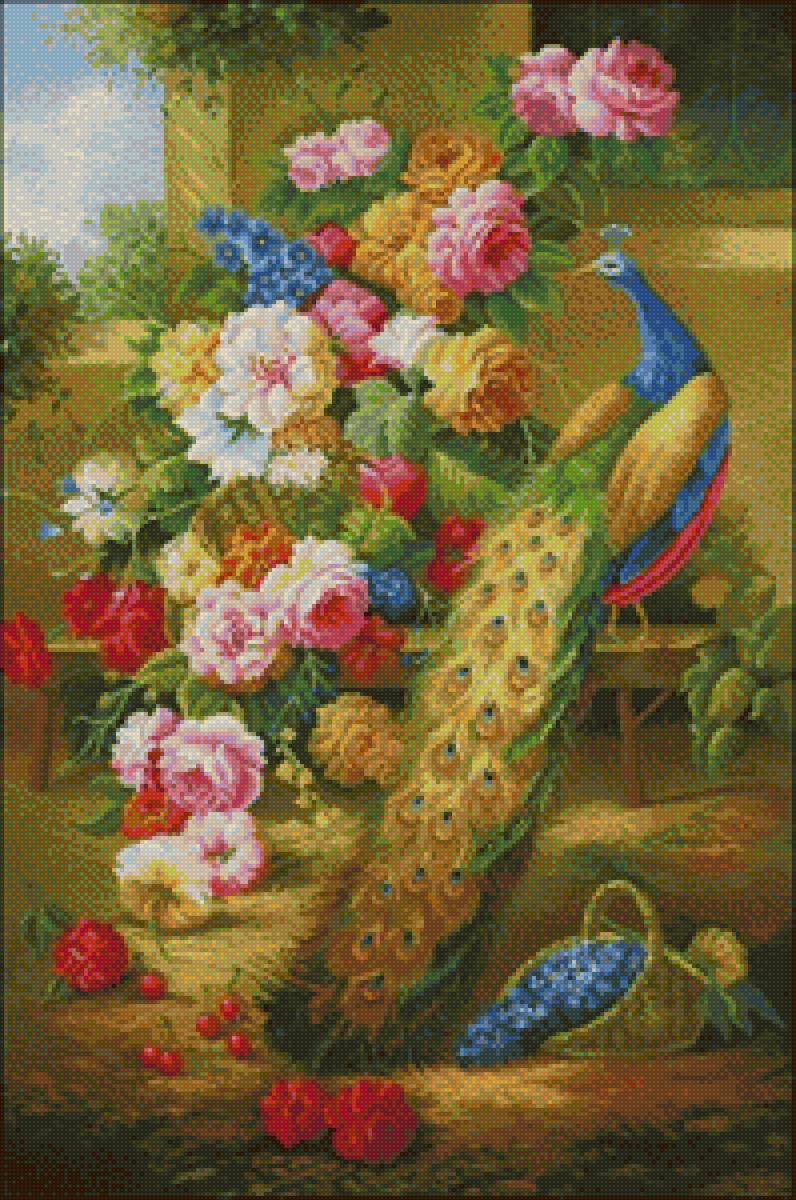 Peacock - peacock - предпросмотр