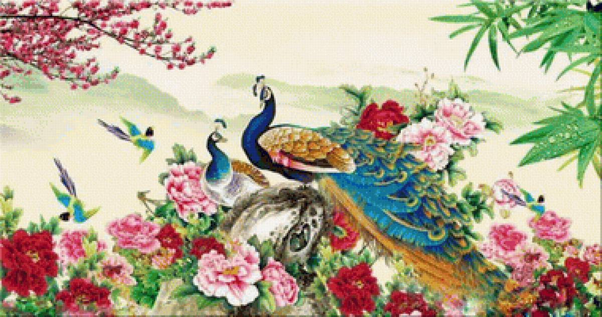 Peacocks and Flowers - peacock, flowers - предпросмотр