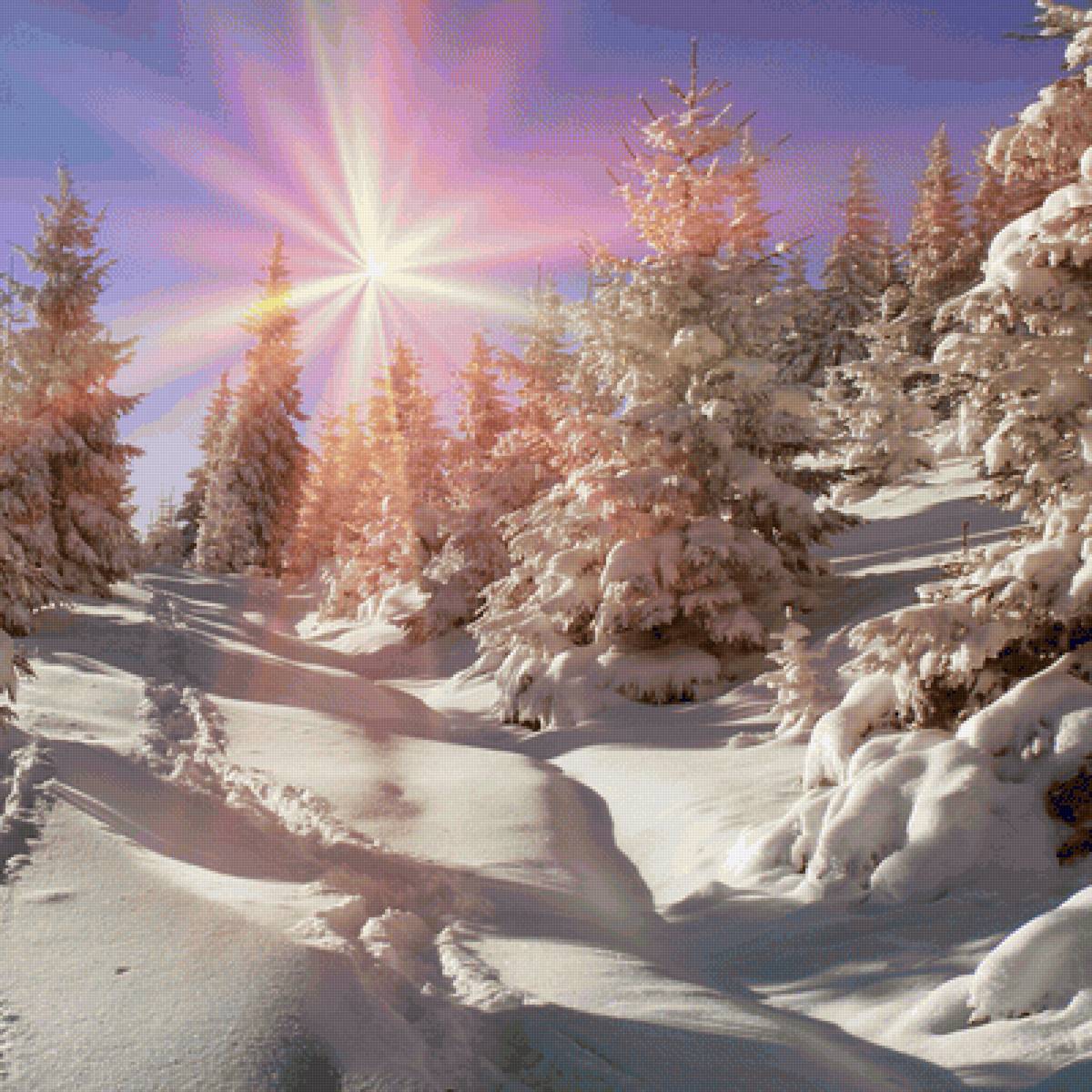 Солнечный лес - солнце, природа, деревья, лес, снег, зима - предпросмотр