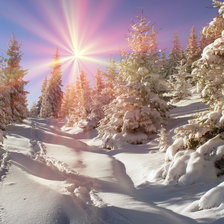 Схема вышивки «Солнечный лес»