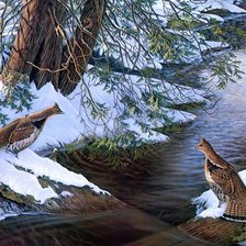 Схема вышивки «птицы»