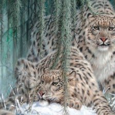 Схема вышивки «барсы»