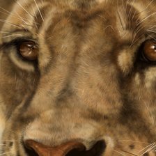 Схема вышивки «львица»