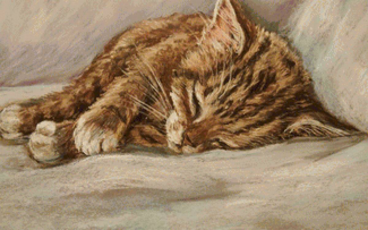 сон - животные, сон, кот - предпросмотр