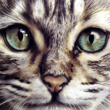 Схема вышивки «взгляд»