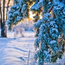 Схема вышивки «вечер»