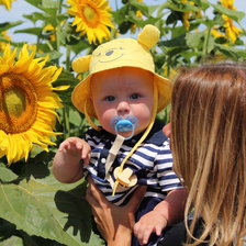 Схема вышивки «берендей»
