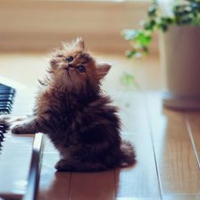 Схема вышивки «Юный музыкант»