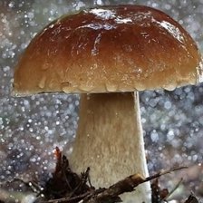 Схема вышивки «Под дождем»