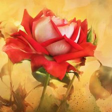 Схема вышивки «роза»