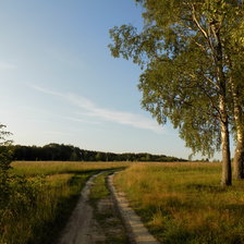 Схема вышивки «природа»