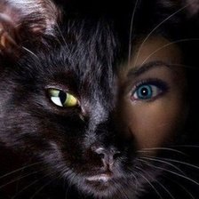 незнакомка