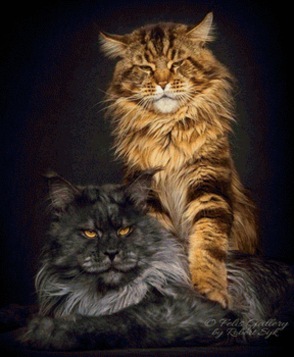 друзья - портрет, животные, кот - предпросмотр