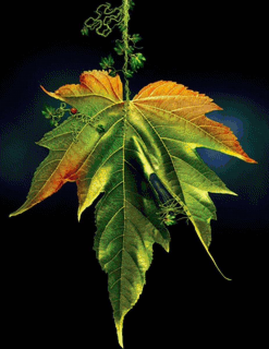 листок - картина - предпросмотр