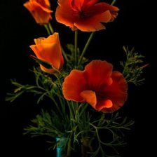 Схема вышивки «букет»