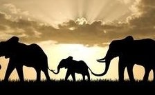 Схема вышивки «На закате»