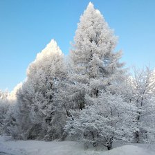 Схема вышивки «Зимний лес»
