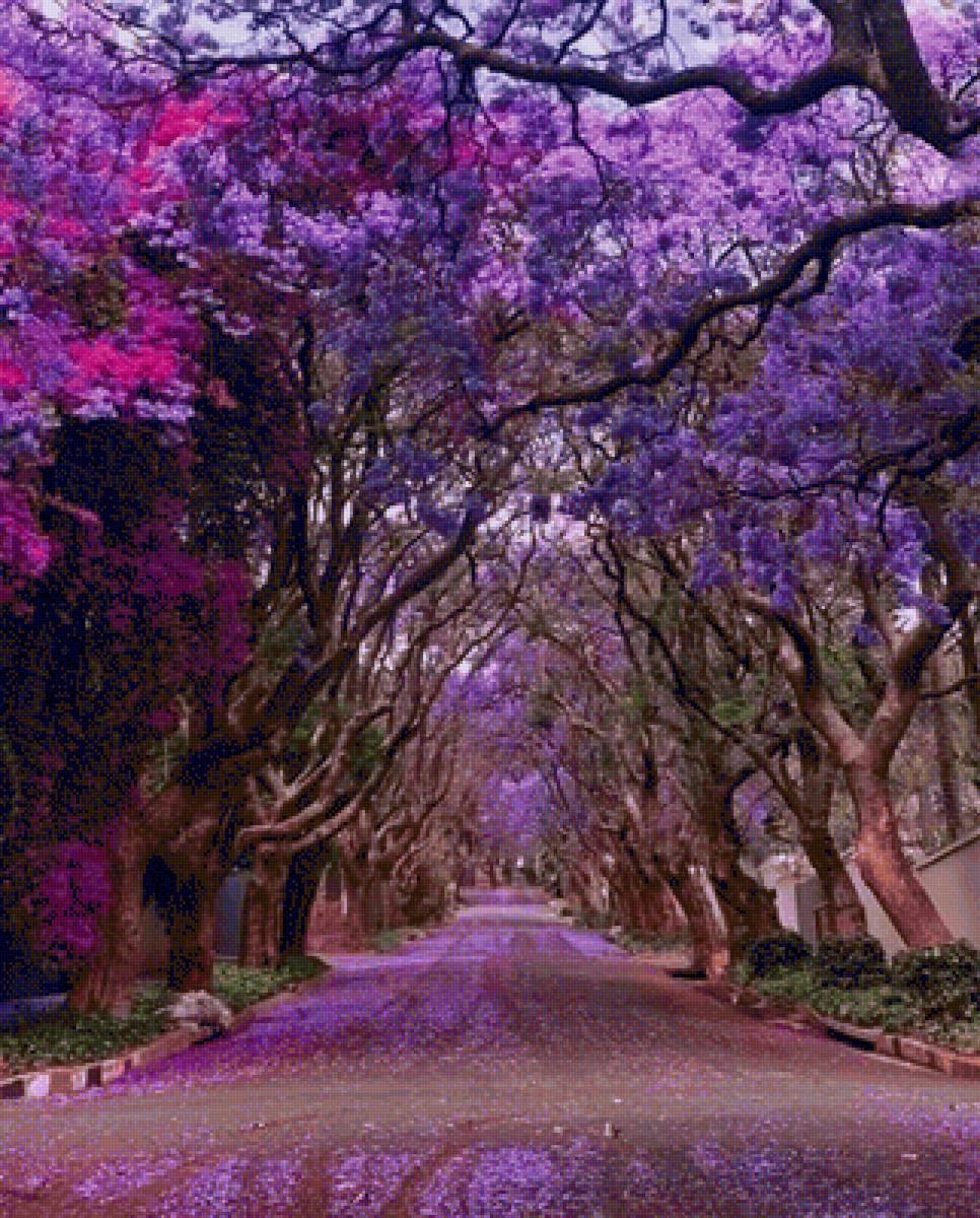 Avenida - paisaje - предпросмотр