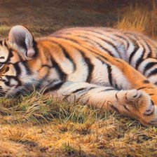 Схема вышивки «тигренок»