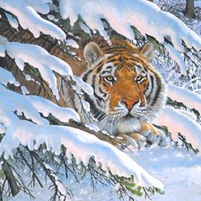 Схема вышивки «тигр»