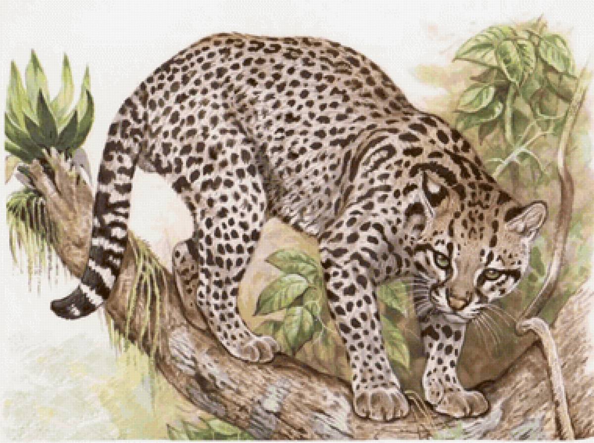 Gato.selvagem. - animais. - предпросмотр