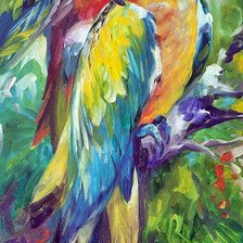 Схема вышивки «Casal de arara,»