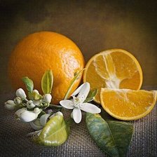 Схема вышивки «Натюрморт»