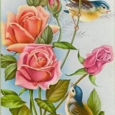 Схема вышивки «Розы и птицы»