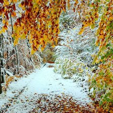 Схема вышивки «Первый снег»