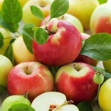 Схема вышивки «Яблочки»