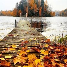 Схема вышивки «№2296788»