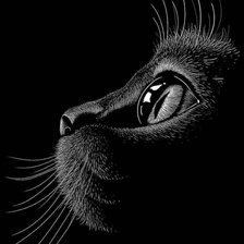 Схема вышивки «Кот»