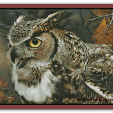 Схема вышивки «Сова»