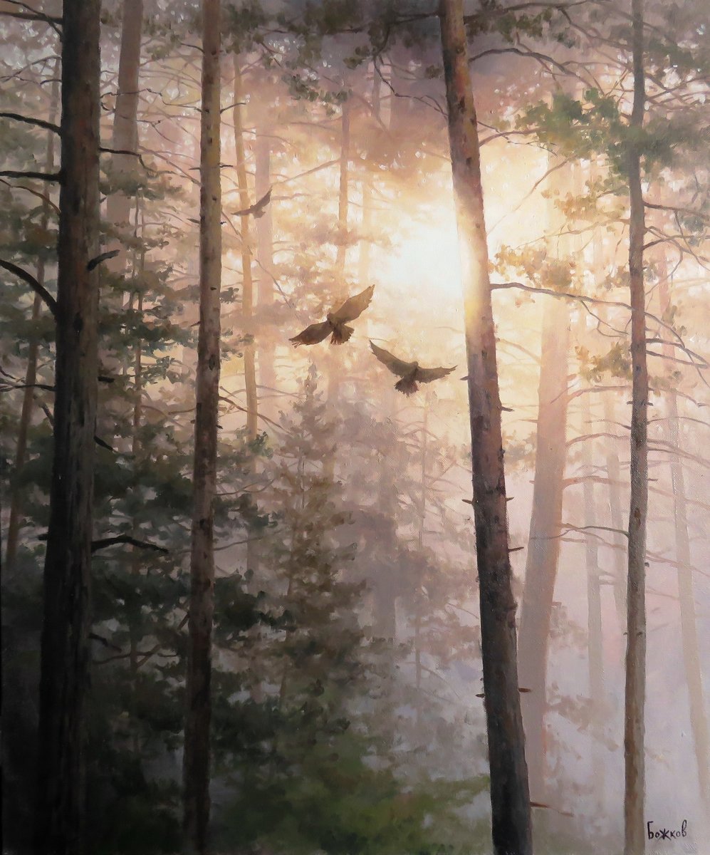 Солнце в ветвях - птицы, природа, лес, солнце - оригинал