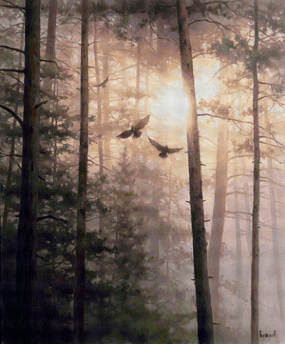 Солнце в ветвях - солнце, лес, птицы, природа - предпросмотр