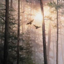 Схема вышивки «Солнце в ветвях»