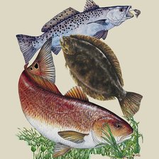 Схема вышивки «Peixes.»