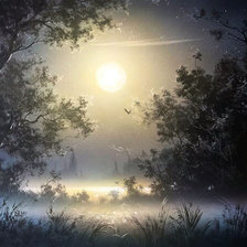 Схема вышивки «лунная ночь»