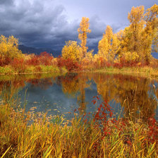Схема вышивки «Осень»