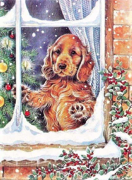 Waiting in Christmas time - животные - оригинал