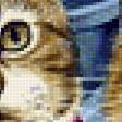 Предпросмотр схемы вышивки «Котики» (№2297196)