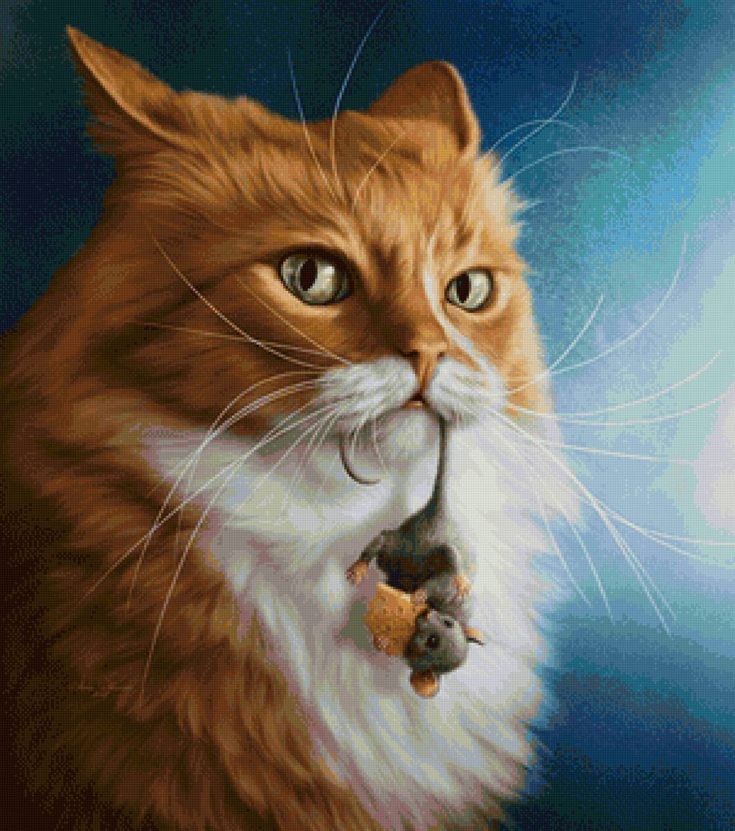кот - портрет, животные, мышь, кот - предпросмотр