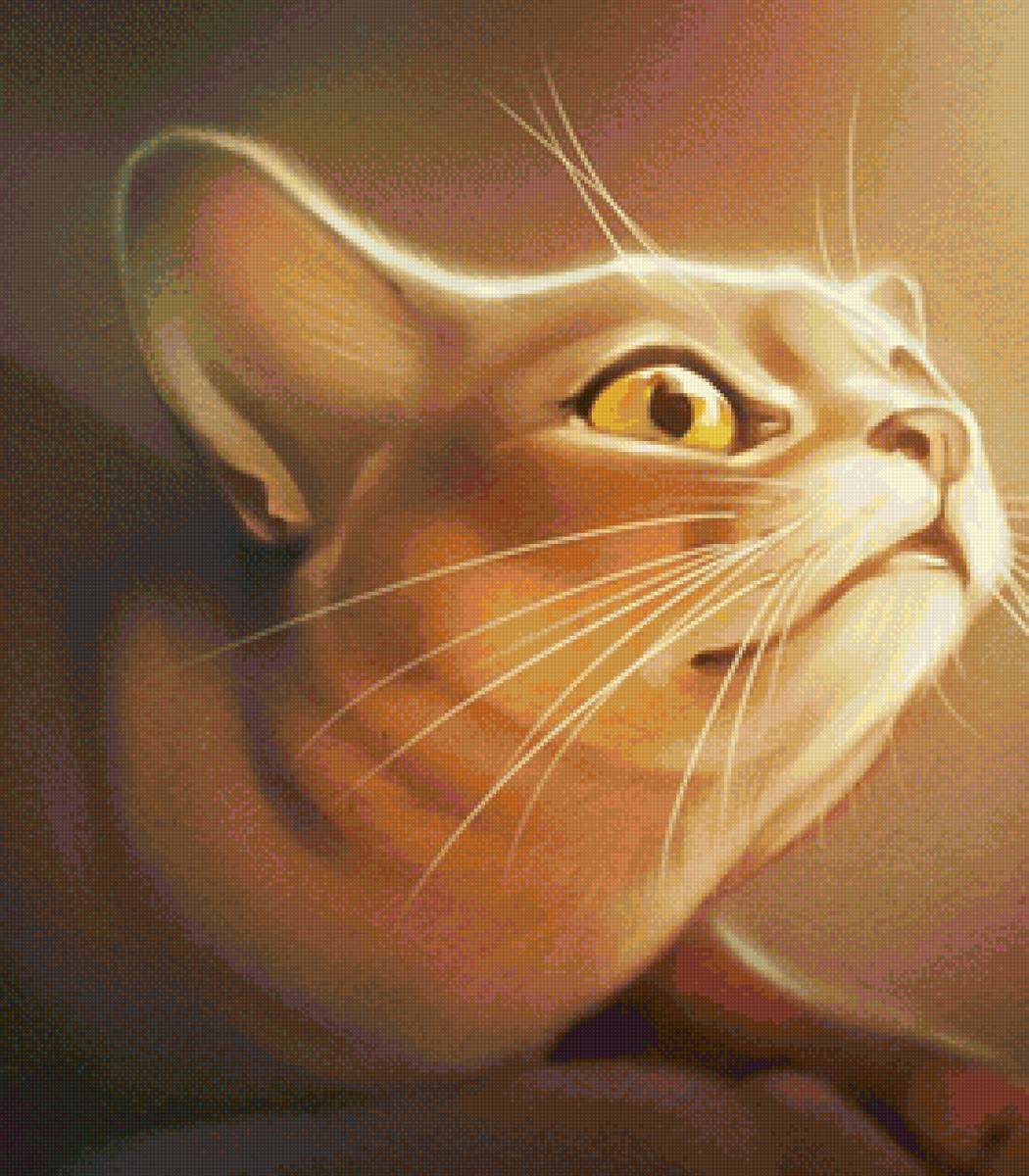 кот - животные, портрет, кот - предпросмотр