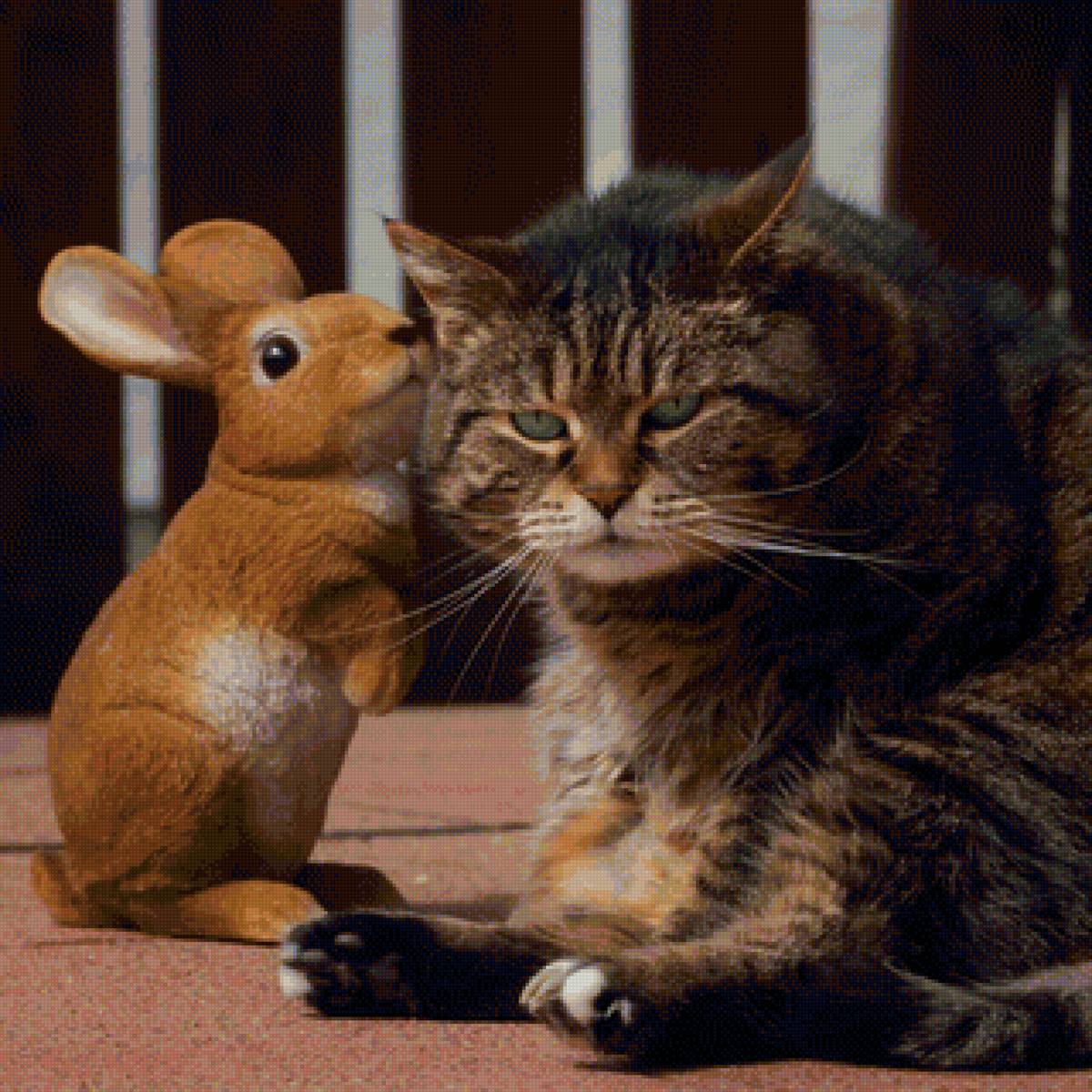 друзья - животные, портрет, кот - предпросмотр