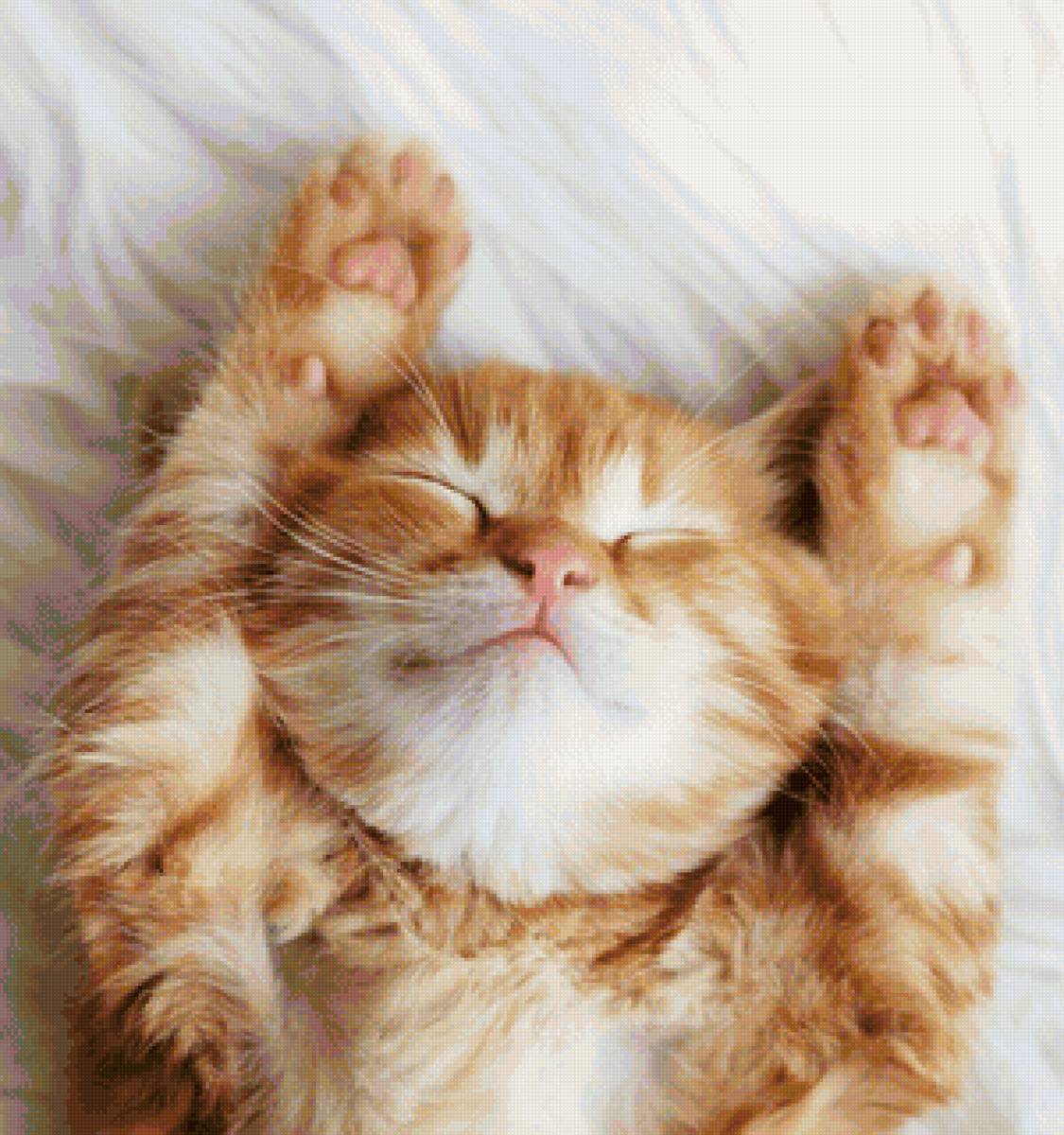 сон - животные, портрет, кот - предпросмотр