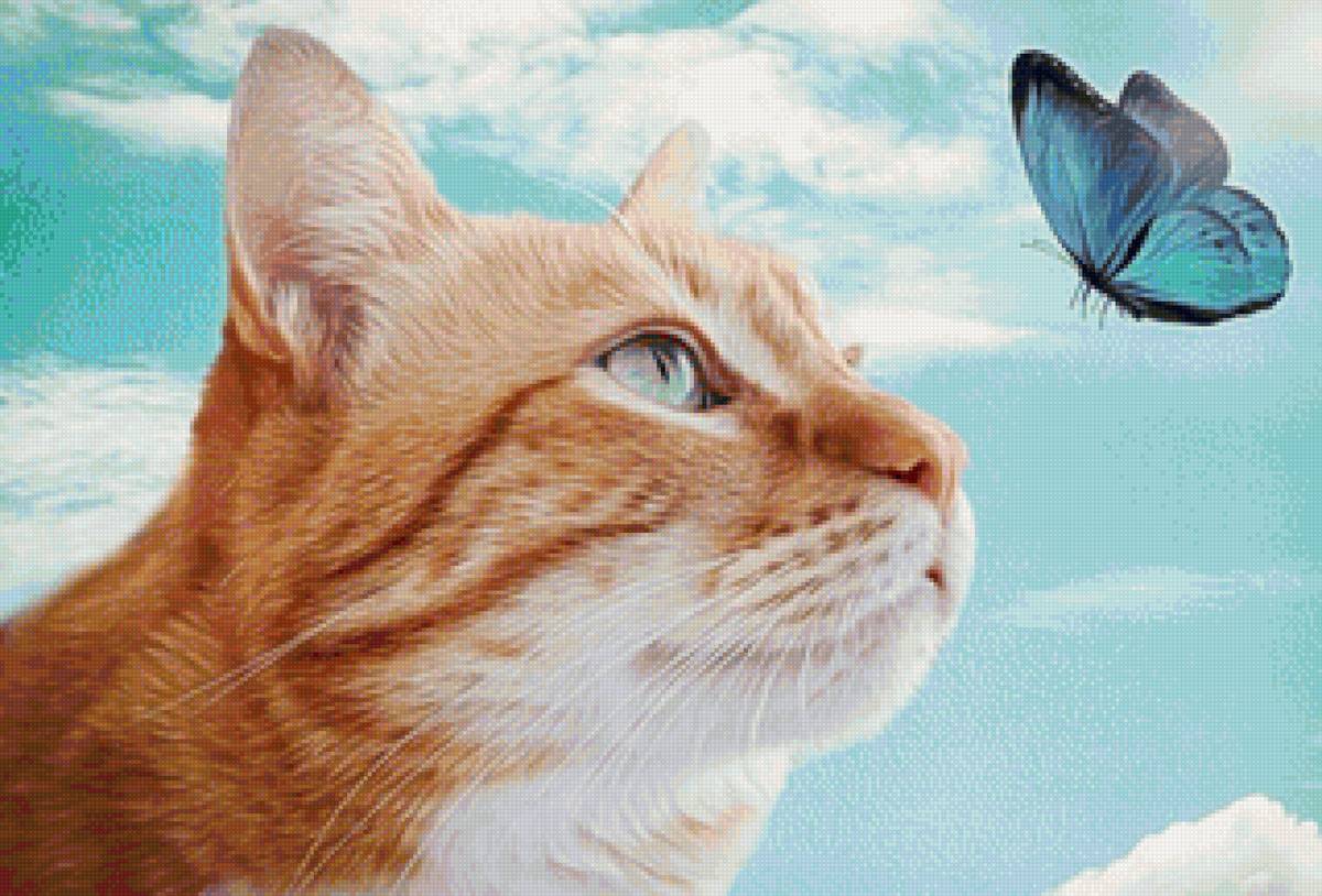 кот - кот, портрет, животные - предпросмотр